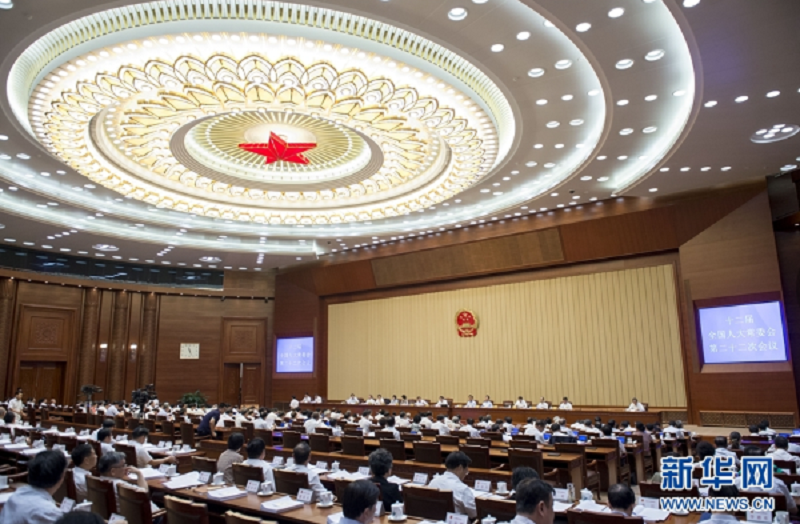 全國人大再審中醫藥法草案 肖偉代表建言獻策      